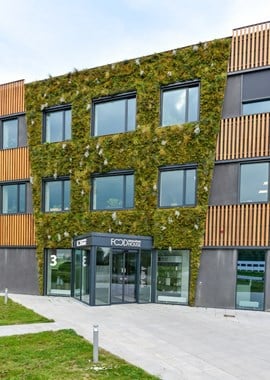 Entreprenør og totalentreprise